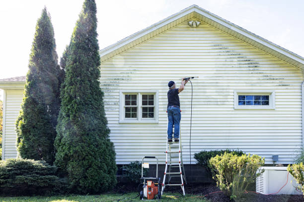 Best Best Pressure Washing Companies  in Manhattan, IL